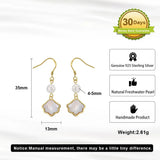 S925 Silver Necklace Ocean Summer Earring Freshwater Pearl Clavicle Chain Women's Bracelet High Sense Pearl Jewelry Set TWINKLE QUEEN