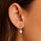 Cultured Freashwater Pearl 14K Gold Plated 925 Sterling Silver Zircon Buckle Earrings